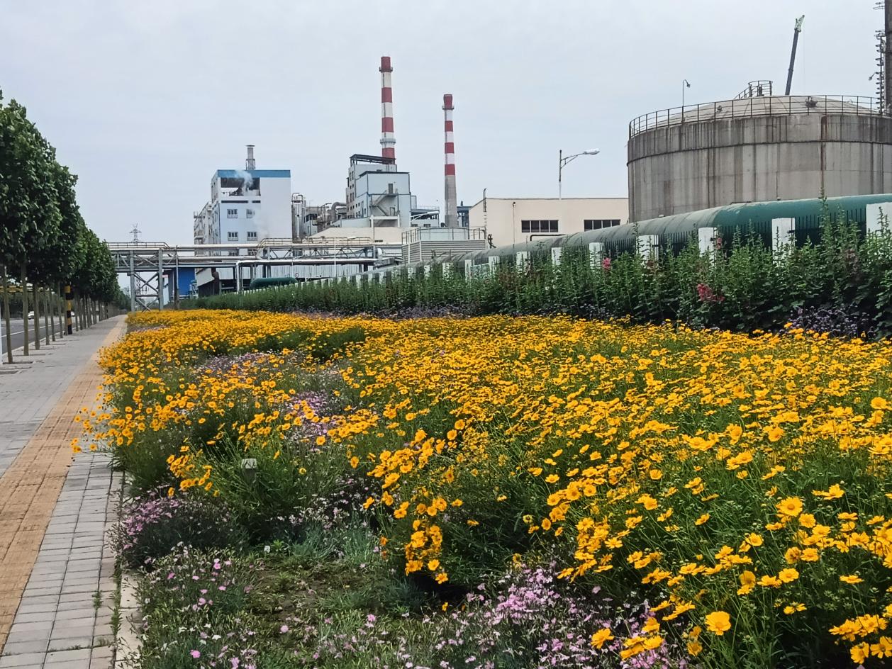 三项全市第一！平顶山高新区城市管理工作喜获佳绩